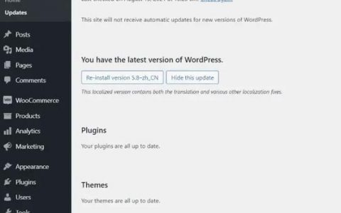 WordPress如何快速搭建英文网站?