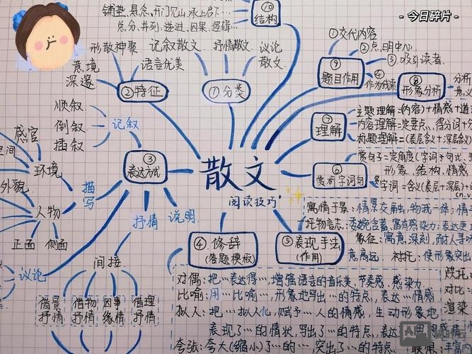 零基础如何学散文