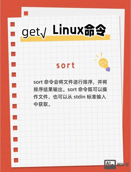linux中的sort命令
