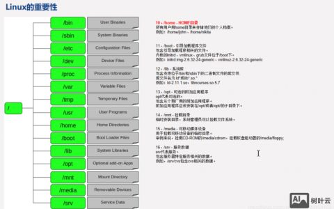 Linux传马命令有哪些？