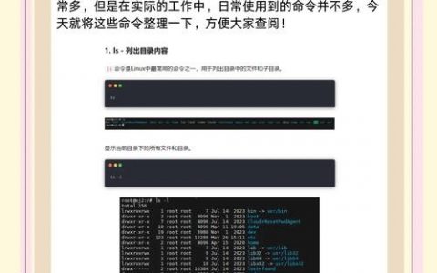 Linux arp命令如何查看和管理ARP缓存?