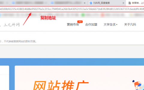 公司如何让百度快照快速更新？