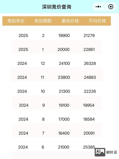 深圳竞价牌照如何改价
