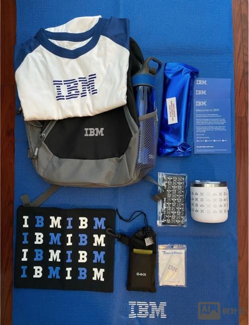 ibm openstack 招聘