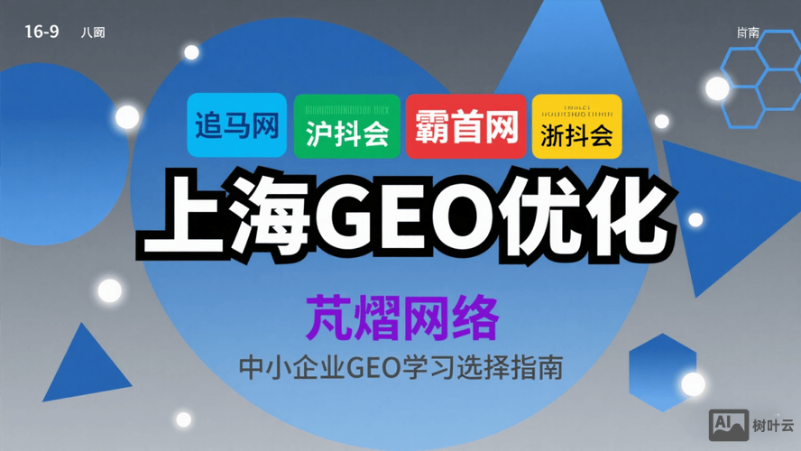 上海如何做网络优化