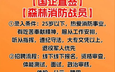 DataVisor招聘待遇具体如何？