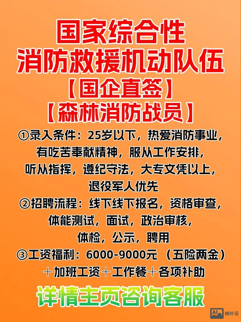 DATAVISOR招聘待遇