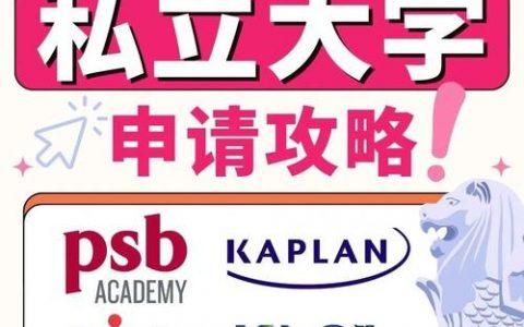 新加坡halliburton招聘，具体岗位和要求是什么？