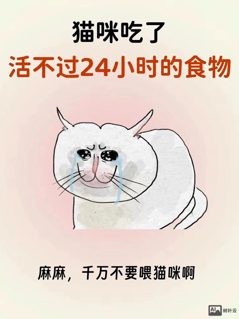 猫条用英语如何说