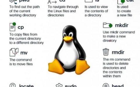 Linux命令集合有哪些常用命令？