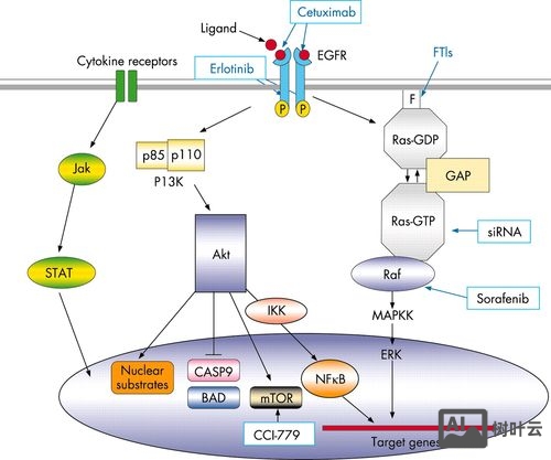 stk11如何添加船