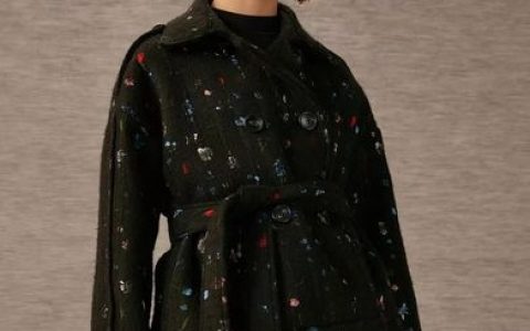 del chen招聘，招什么岗位？要求如何？