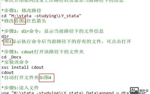 Stata命令如何使用？