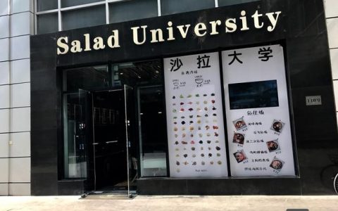 Salad University招聘,具体岗位和要求是什么?
