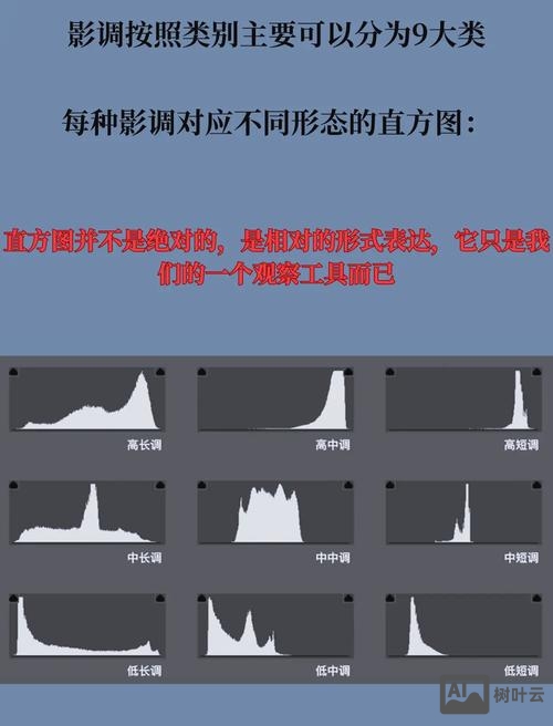 photoshop cc 矩形如何调整