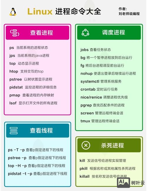 linux read命令详解