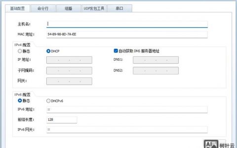 dhcp命令如何正确配置？