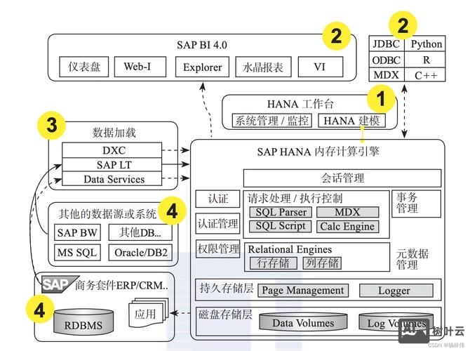 sap hana 招聘