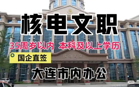 核电IT招聘，哪些技能最受青睐？
