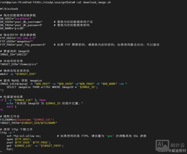 python调用bash命令