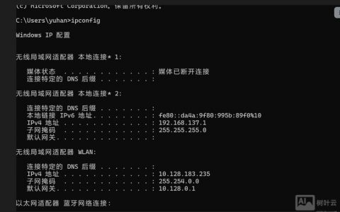 DNS修复命令有哪些？