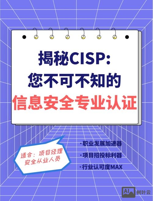 cisa 招聘北京