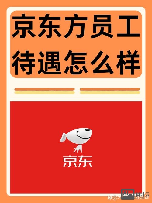 京东 翻译 招聘