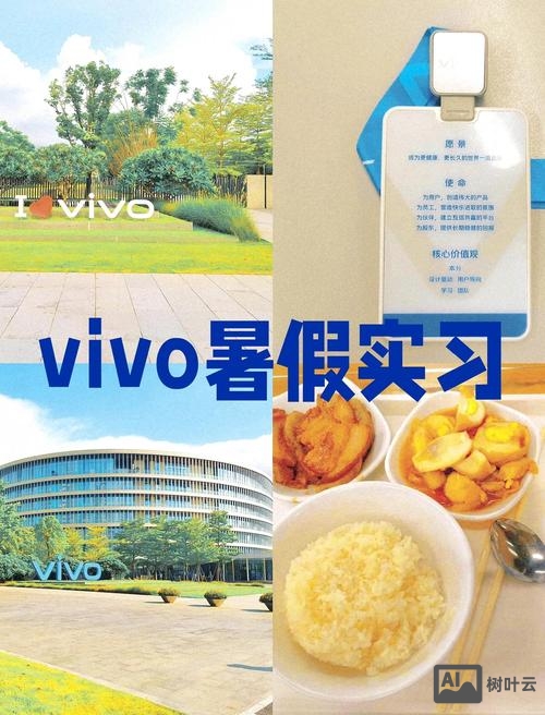 vivo 印度招聘