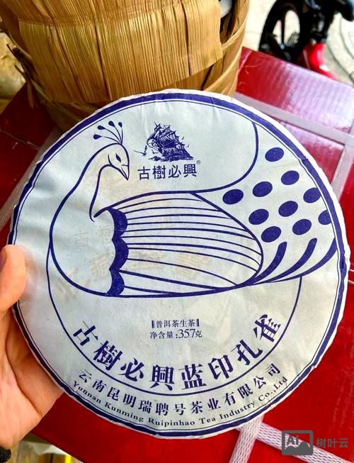 树儿茶招聘