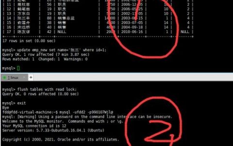 MySQL锁库命令有哪些？如何正确使用？