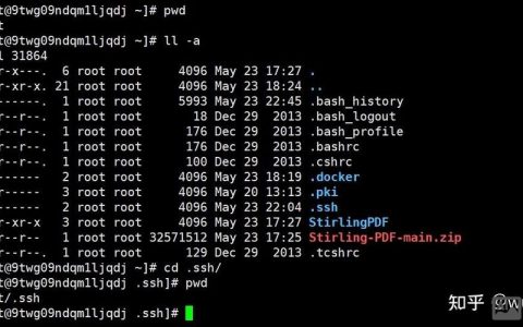 Linux下SSH命令如何高效使用?