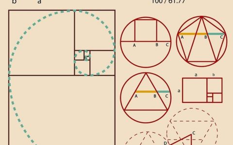 PS如何精确绘制黄金比例圆？