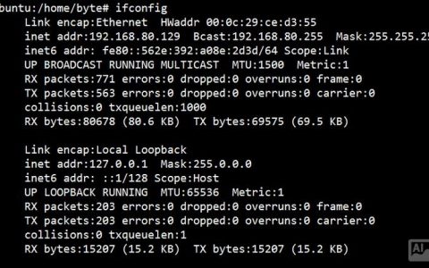 Shell如何高效运行Linux命令？
