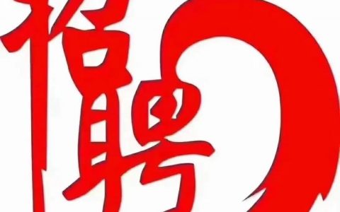 菜鸟大宝招聘，招什么岗位？