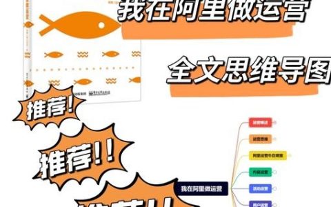 公司如何做好网络运营？