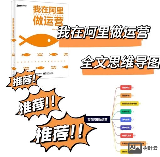 公司如何做网络运营