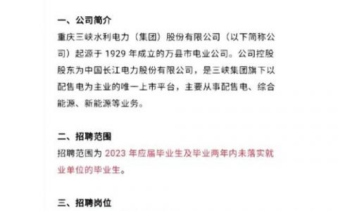 重庆houdini招聘要求有哪些？