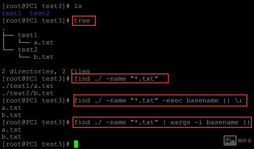 linux find命令 xargs