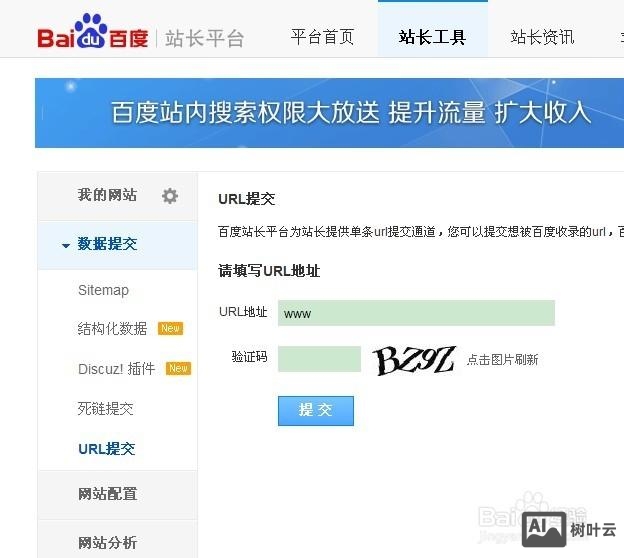 如何建立网络公司站长