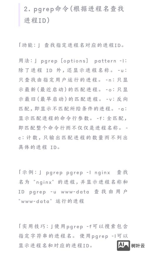 linux下撤销命令