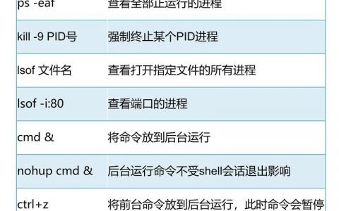 Linux看进程命令有哪些常用选项？