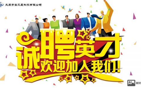 新浪招聘案例有何独特亮点与启示？