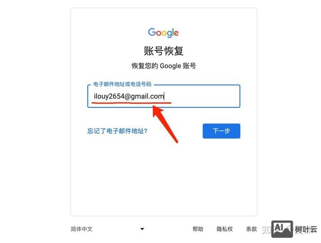 如何查看谷歌账户的邮箱