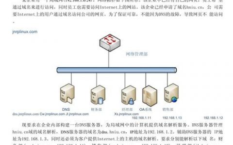 思科DNS配置命令有哪些常用操作?