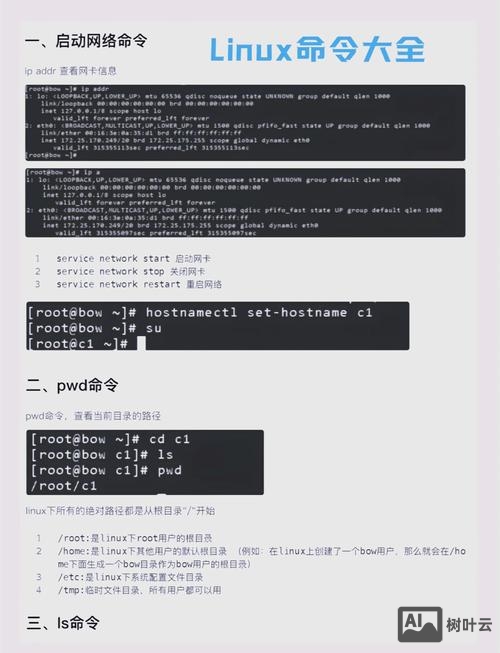 linux su命令 密码