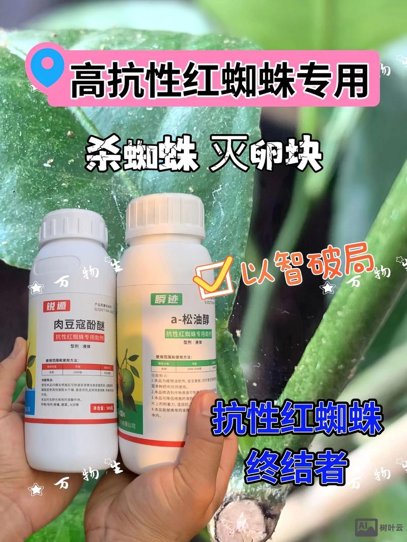 试论述如何避免蜘蛛陷阱