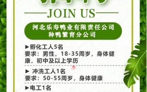 招聘delivery channel是招什么岗位？