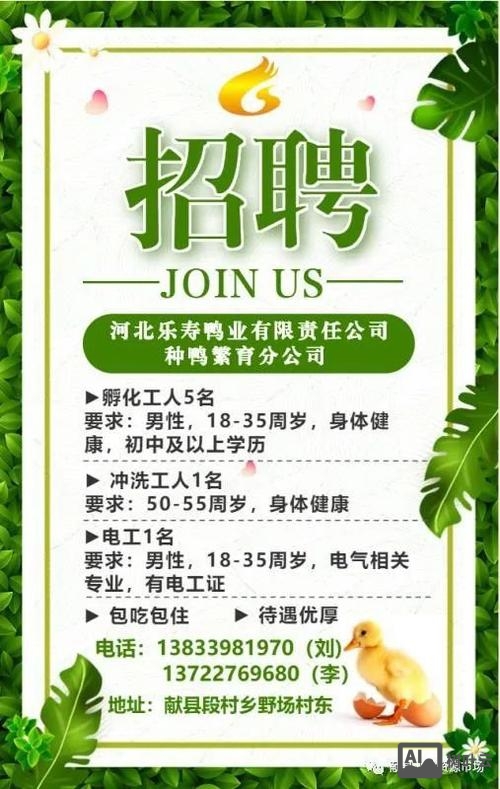 招聘delivery channel