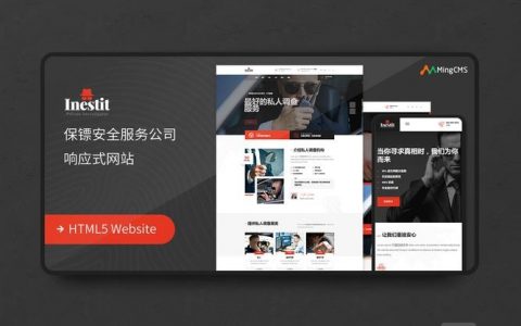 安全网站设计的关键点与最佳实践是什么？
