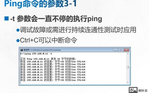 手机ping命令有哪些用法？